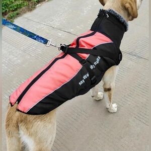 Didog "My World My Rules" Back Clip Winter Harness Vest Jacket Size 5XL Orange